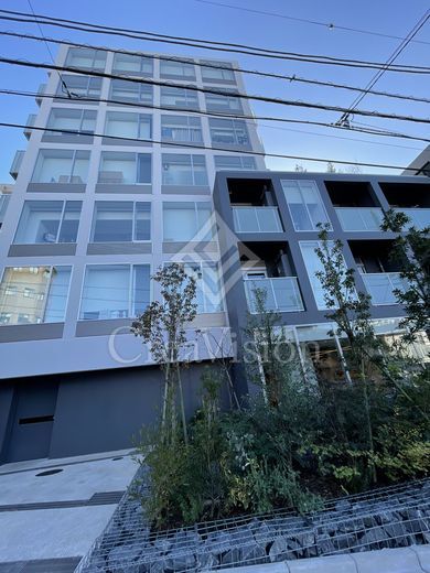 ブリリアイスト渋谷本町