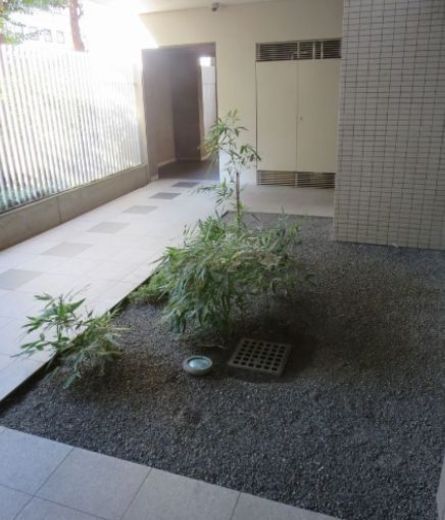 グランドメゾン西巣鴨