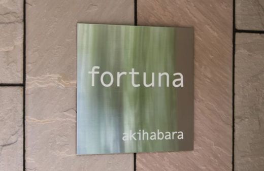 フォルトゥナ秋葉原