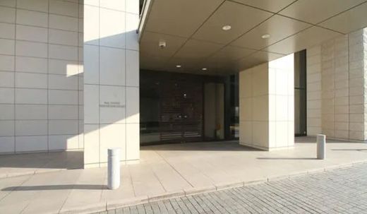 パークタワー新川崎