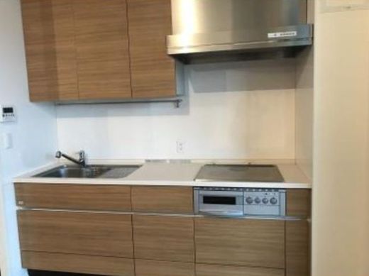 パークタワー横浜ステーションプレミア