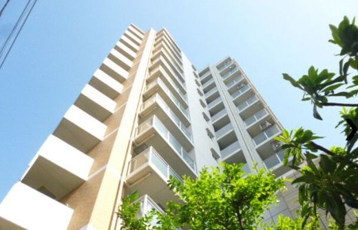 ライオンズステーションプラザ金町