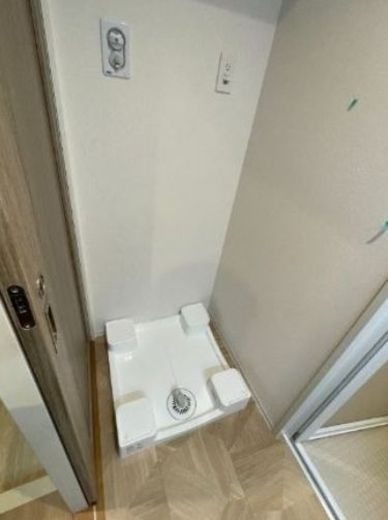 ダーシャモリ