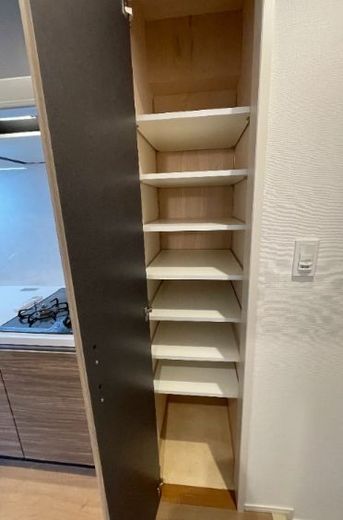 ダーシャモリ