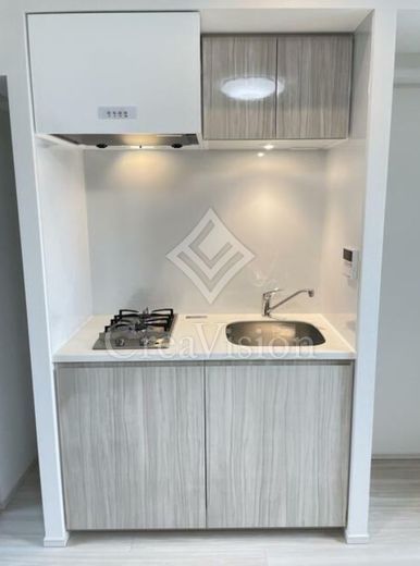 ディアレイシャス錦糸町