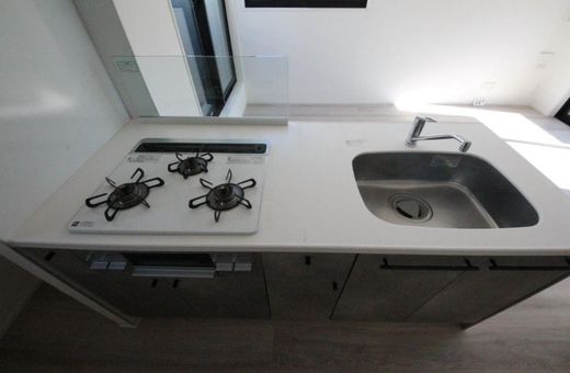 グランデュオ高円寺Ⅲ (GranDuo KoenjiⅢ)