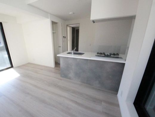 グランデュオ高円寺Ⅲ (GranDuo KoenjiⅢ)