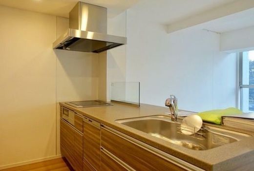 LAKE FRAME石神井公園 (レークフレーム石神井公園)