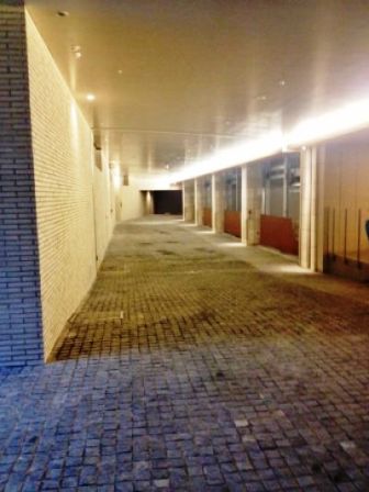 ライオンズ外苑の杜