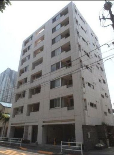 CELESTINO (チェレスティーノ)