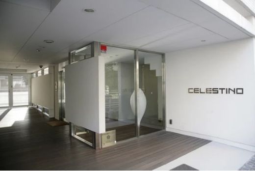 CELESTINO (チェレスティーノ)