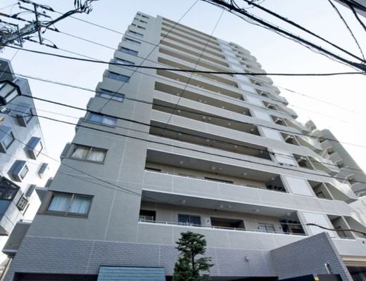 東急ドエルアルス国立