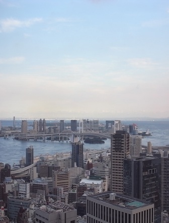 ラ・トゥール芝公園