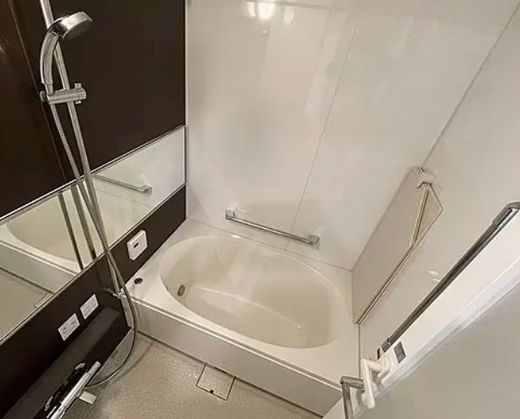 ラフィーネ深沢サクラテラス