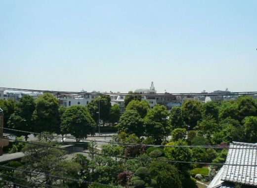 LANAI CLASSICO (ラナイクラシコ)