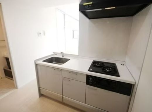 ロバストコート