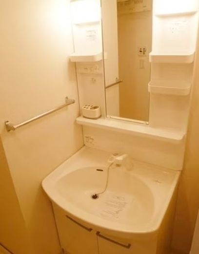 ロバストコート