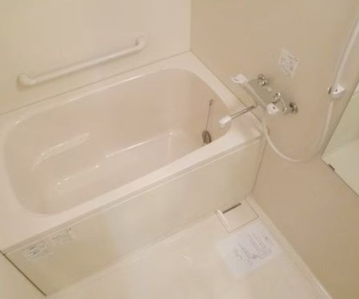 ロバストコート