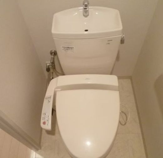 ロバストコート