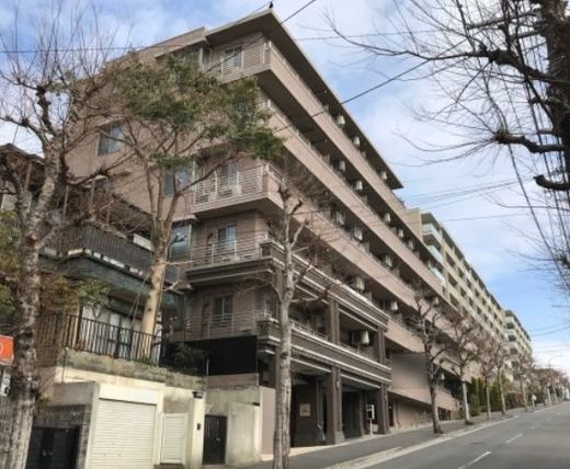 アルシア市が尾