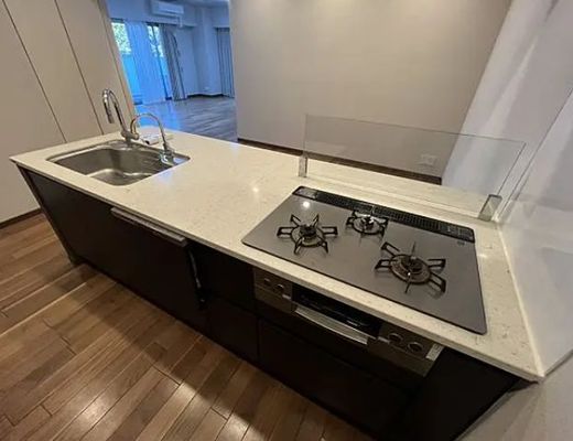 パレステージ山手石川町