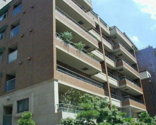 ミュラーハウス