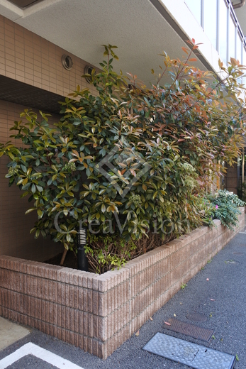 デュオステージ白金高輪