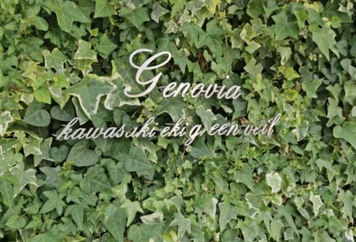 ジェノヴィア川崎駅グリーンヴェール