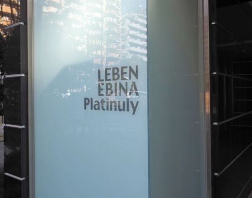 レーベン海老名Platinuly