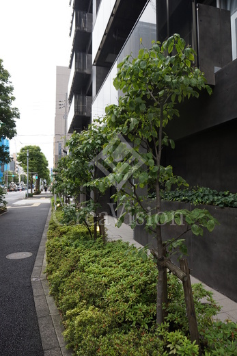 カスタリア戸越