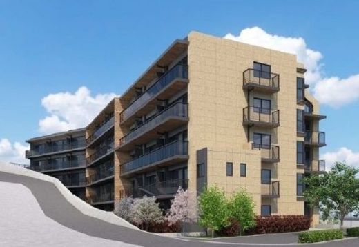 コンフォリア・リヴ文京護国寺