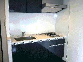 プライムアーバン新宿内藤町