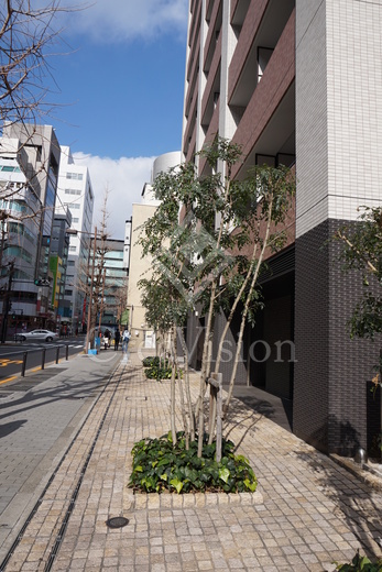 パークハビオ平河町