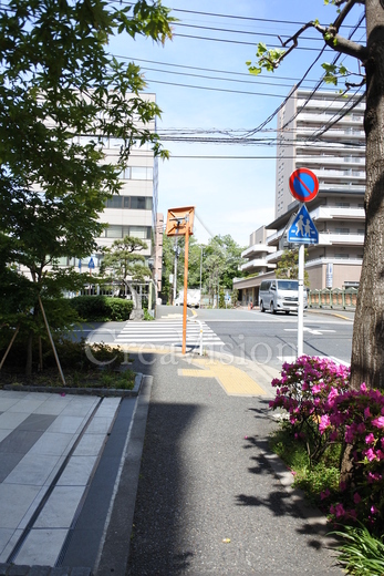 パークハビオ目黒リバーサイド