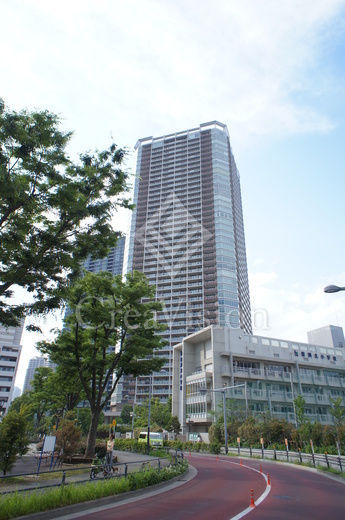 ＴＨＥ　ＴＯＹＯＳＵ　ＴＯＷＥＲ