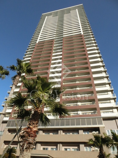 ロイヤルパークスタワー南千住