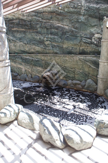 ロイヤルパークスタワー南千住