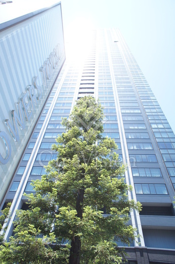 シティタワーズ豊洲ザ・ツイン サウスタワー