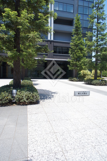 シティタワーズ豊洲ザ・ツイン サウスタワー