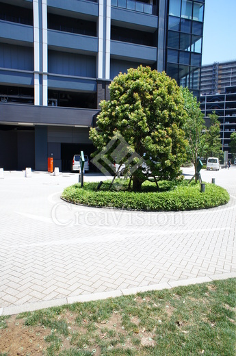 シティタワーズ豊洲ザ・ツイン サウスタワー