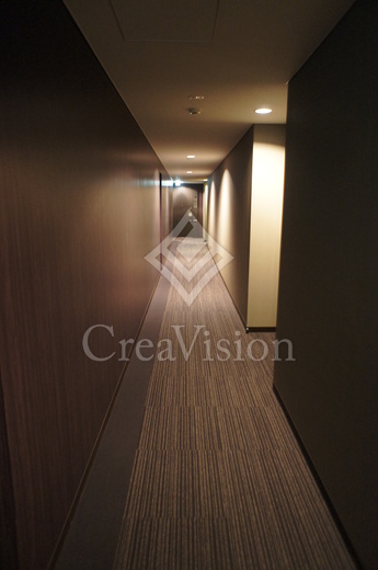 シティタワーズ豊洲ザ・ツイン サウスタワー