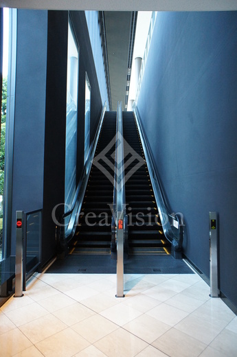 シティタワーズ豊洲ザ・ツイン サウスタワー