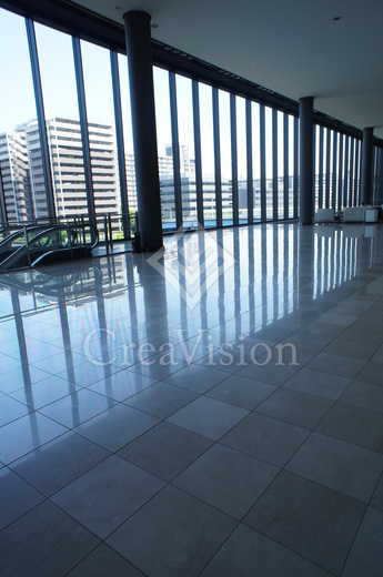 シティタワーズ豊洲ザ・ツイン サウスタワー