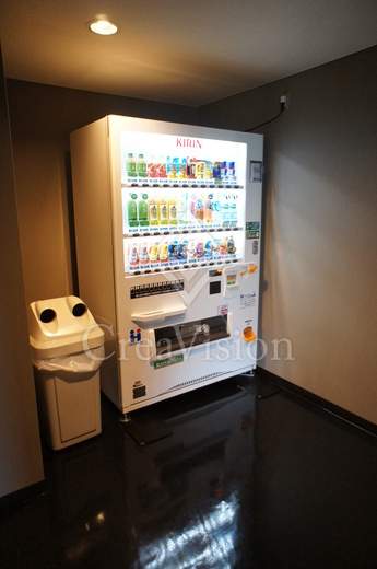 シティタワーズ豊洲ザ・ツイン サウスタワー