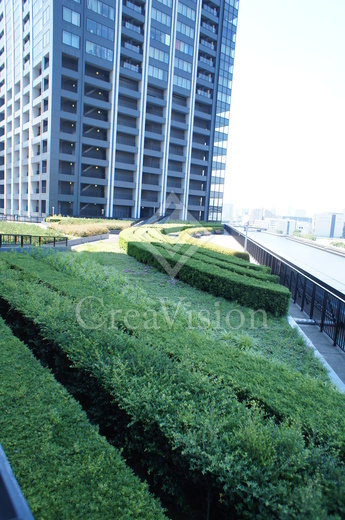 シティタワーズ豊洲ザ・ツイン サウスタワー