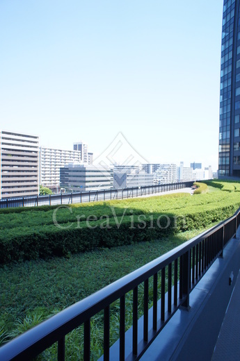 シティタワーズ豊洲ザ・ツイン サウスタワー