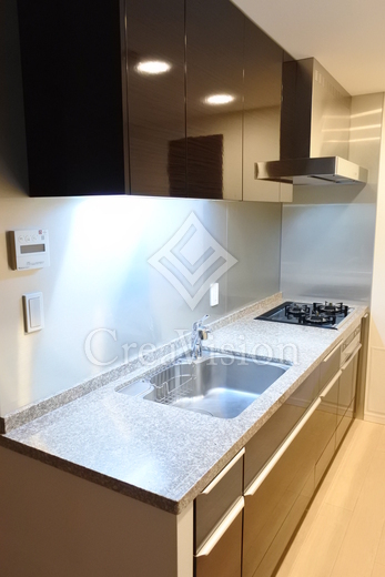 シティタワーズ豊洲ザ・ツイン サウスタワー