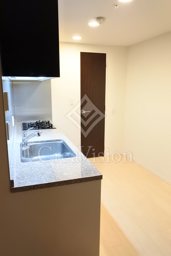 シティタワーズ豊洲ザ・ツイン サウスタワー