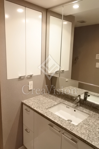 シティタワーズ豊洲ザ・ツイン サウスタワー