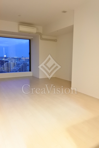 シティタワーズ豊洲ザ・ツイン サウスタワー